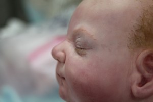 baby eyelash side